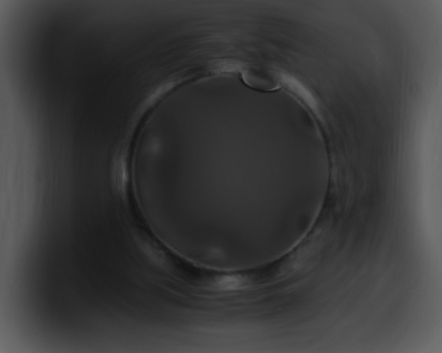 X0000100400059200806061325