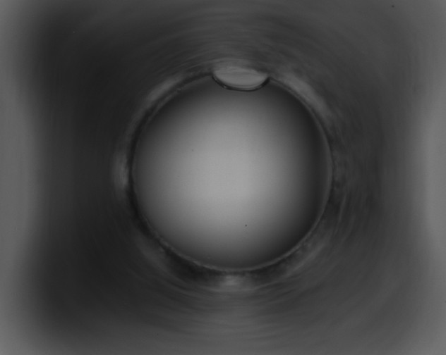 X0000100400060200806061325