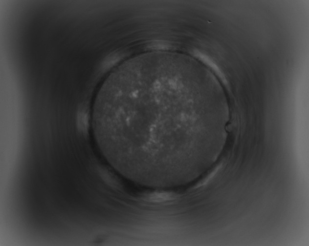 X0000100400063200806061325