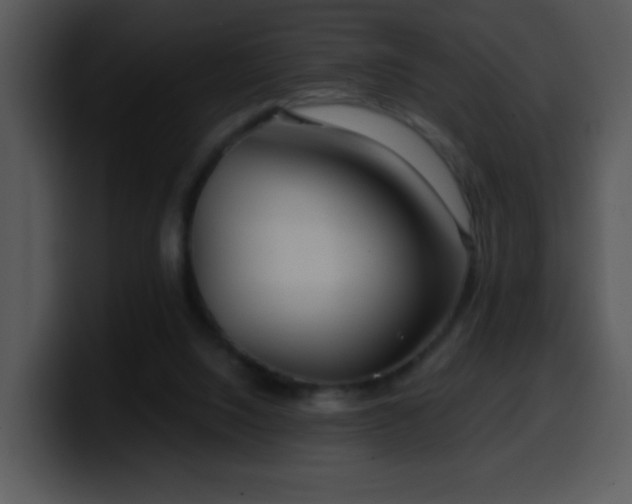 X0000100400064200806061325