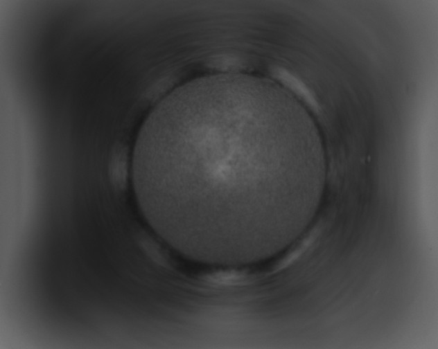 X0000100400065200806061325