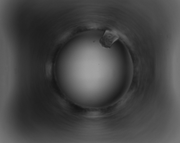 X0000100400066200806061325