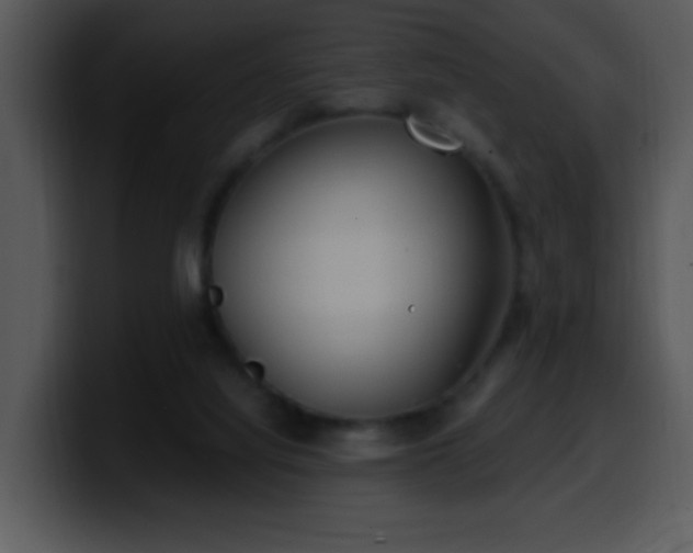 X0000100400068200806061325