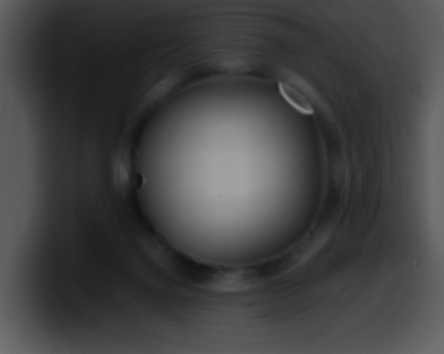 X0000100400072200806061325