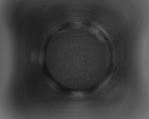 X0000100400073200806061325