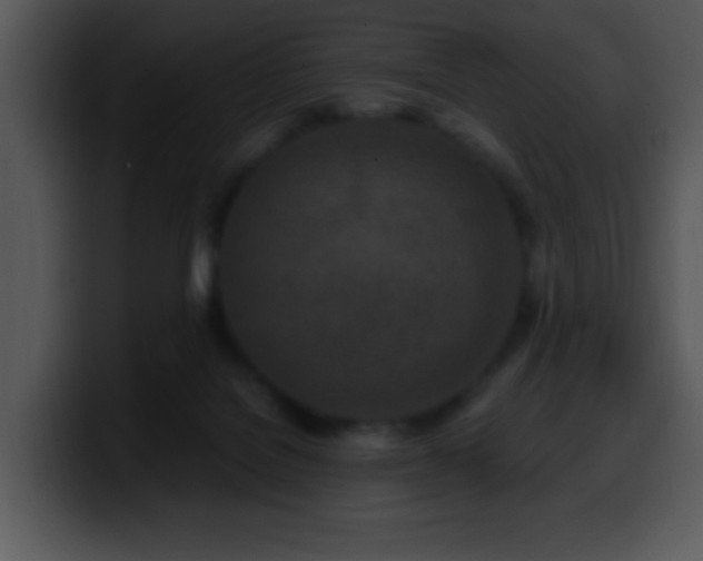 X0000100400076200806061325