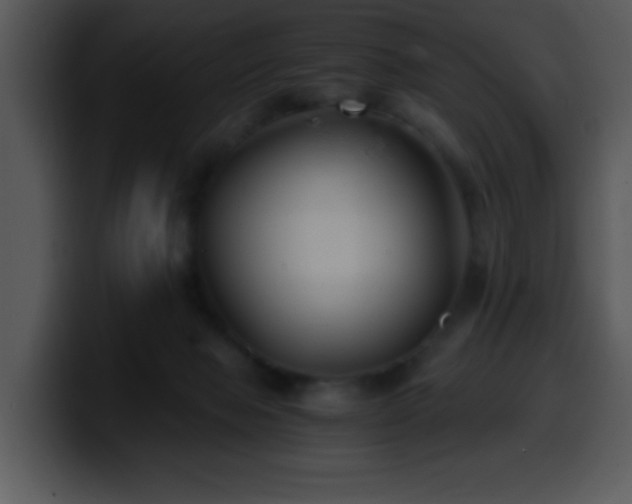 X0000100400077200806061325