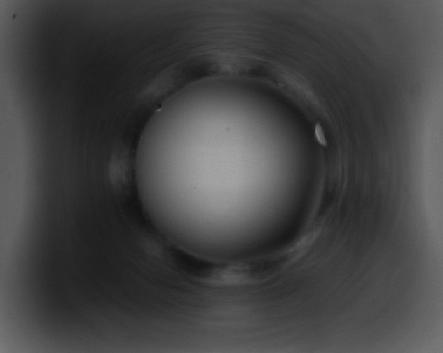 X0000100400078200806061325
