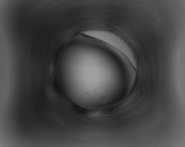 X0000100400079200806061325
