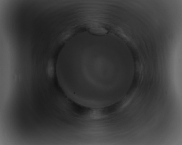 X0000100400080200806061325