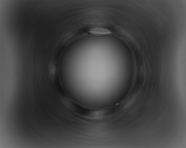 X0000100400084200806061325