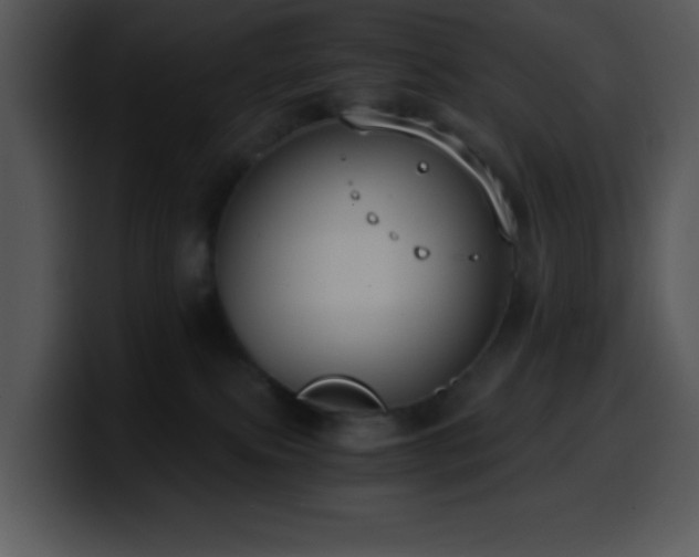 X0000100400087200806061325