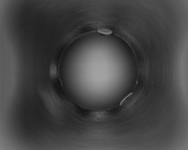 X0000100400089200806061325