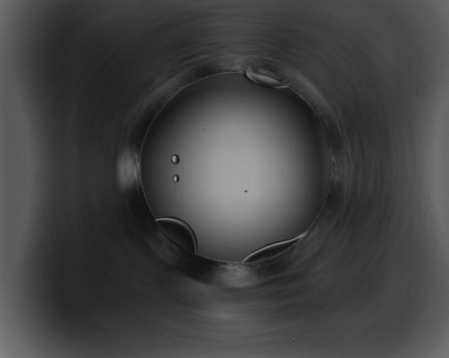 X0000100400095200806061325