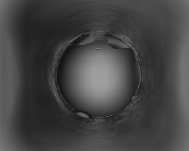 X0000100400097200806061325