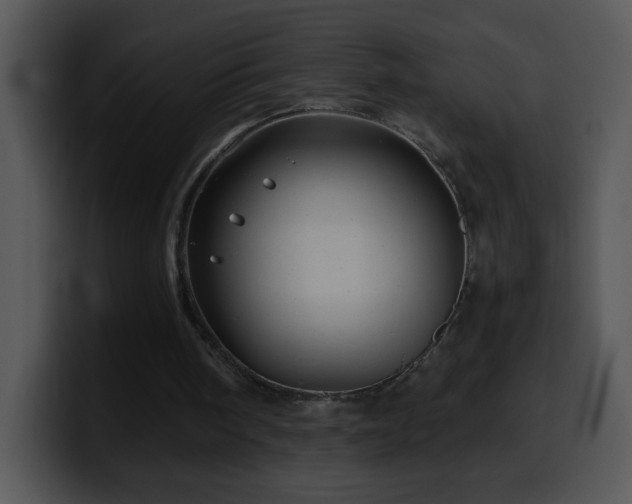 X0000100400098200806061325