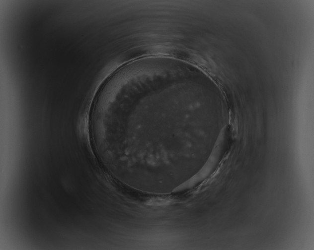 X0000100400099200806061325