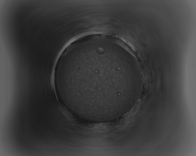 X0000100400100200806061325