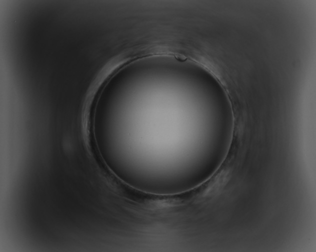 X0000100400103200806061325