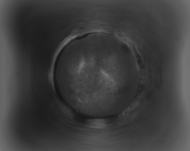 X0000100400104200806061325
