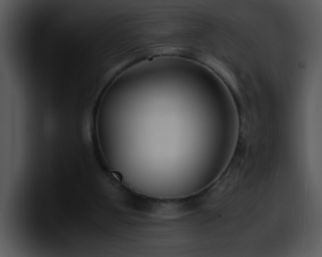 X0000100400107200806061325