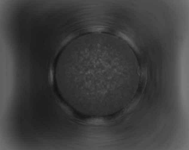 X0000100400110200806061325