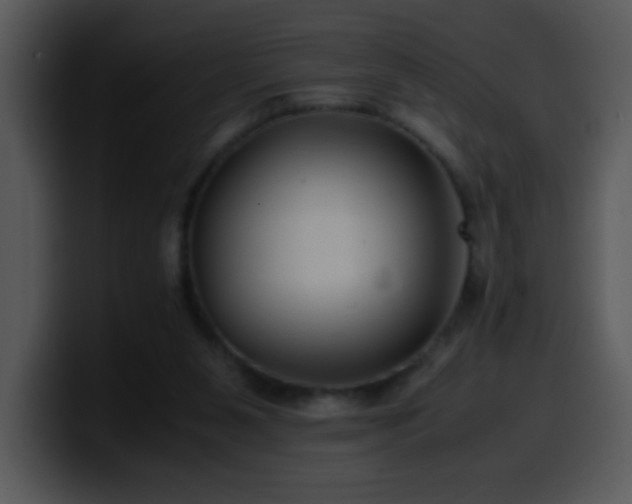 X0000100400111200806061325