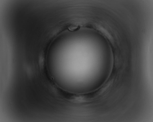 X0000100400113200806061325