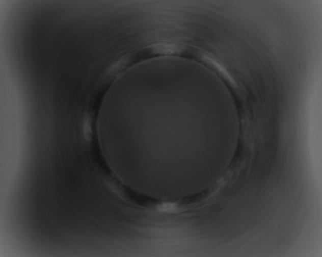 X0000100400114200806061325