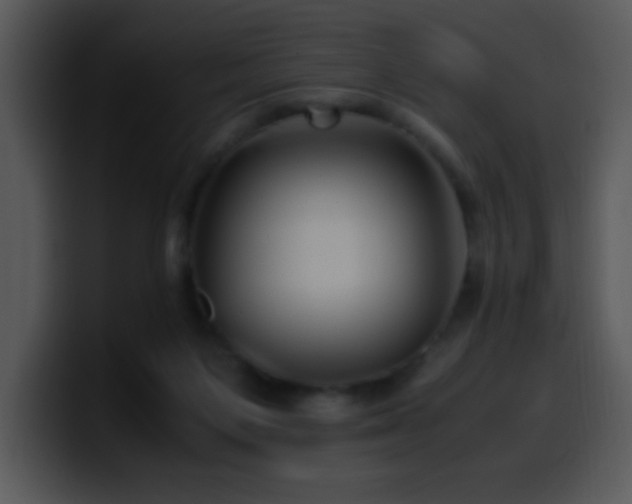 X0000100400119200806061324