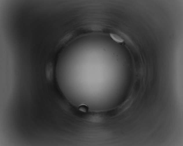 X0000100400120200806061324