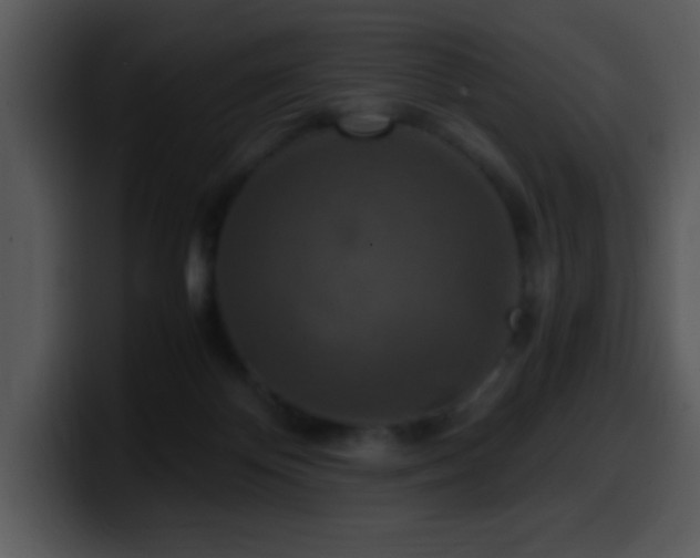 X0000100400124200806061324