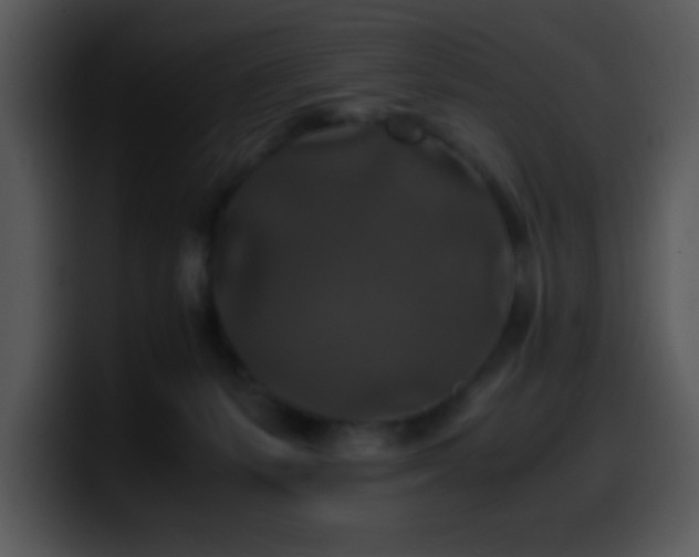 X0000100400127200806061324
