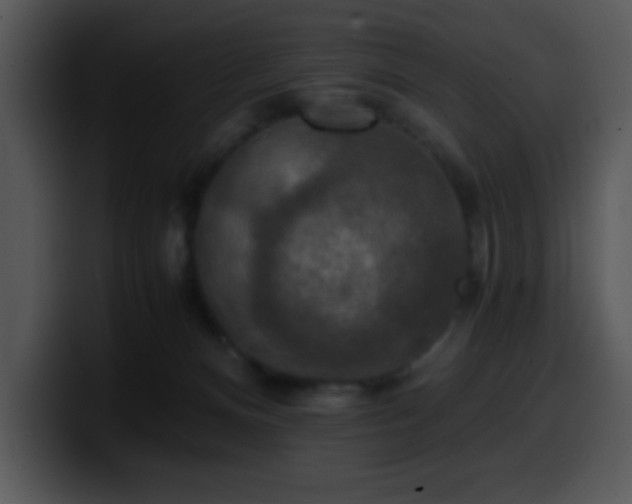 X0000100400128200806061324
