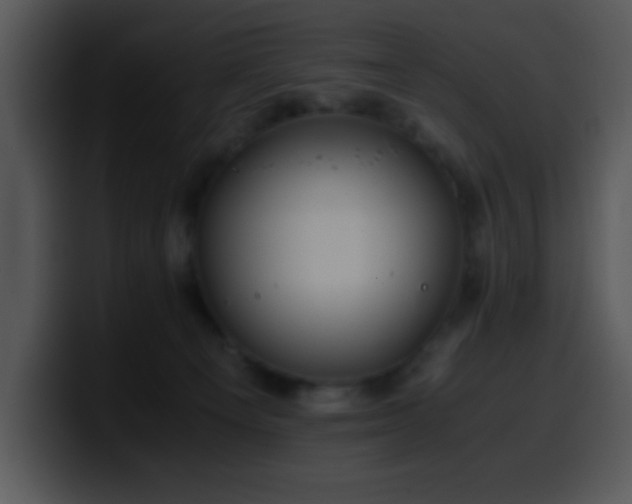 X0000100400129200806061324