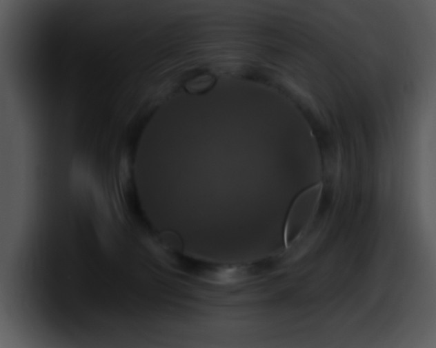 X0000100400130200806061324