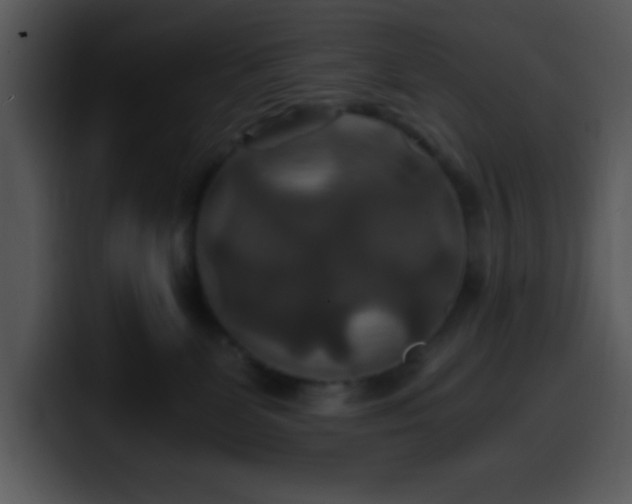 X0000100400131200806061324