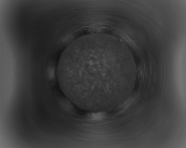 X0000100400134200806061324