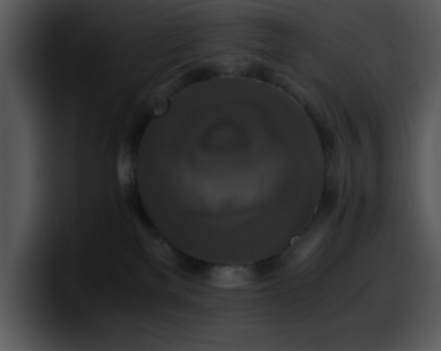 X0000100400137200806061324