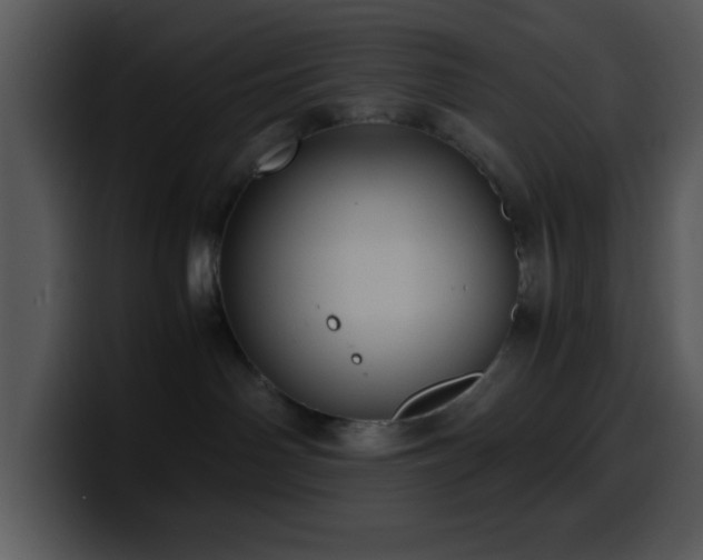 X0000100400142200806061324