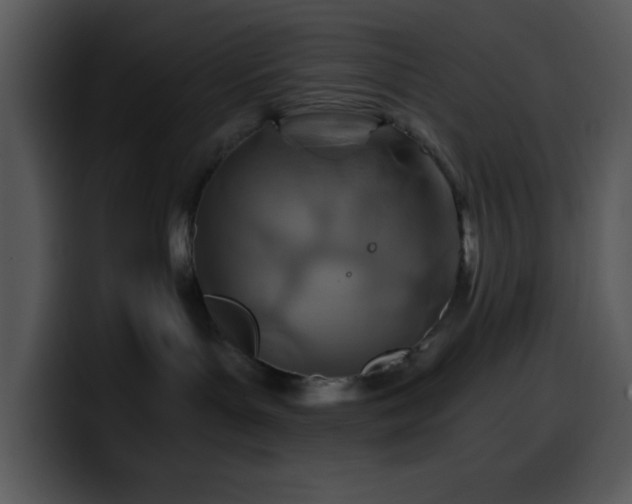 X0000100400143200806061324