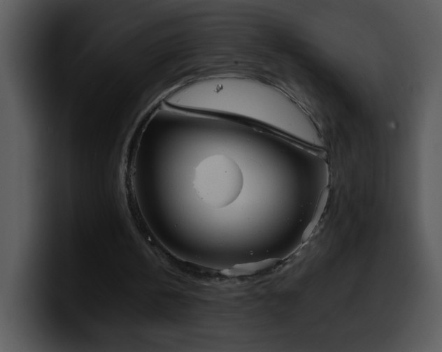 X0000100400146200806061323