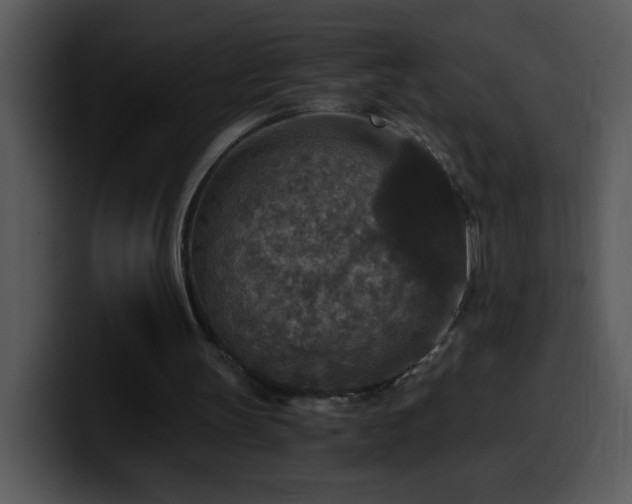 X0000100400147200806061324