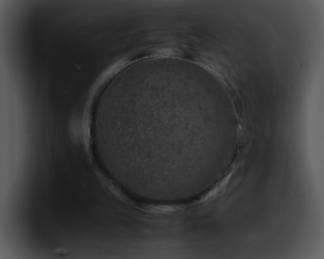 X0000100400149200806061324
