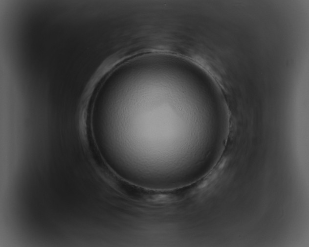 X0000100400151200806061324
