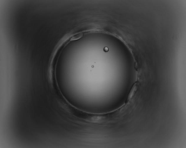 X0000100400152200806061324