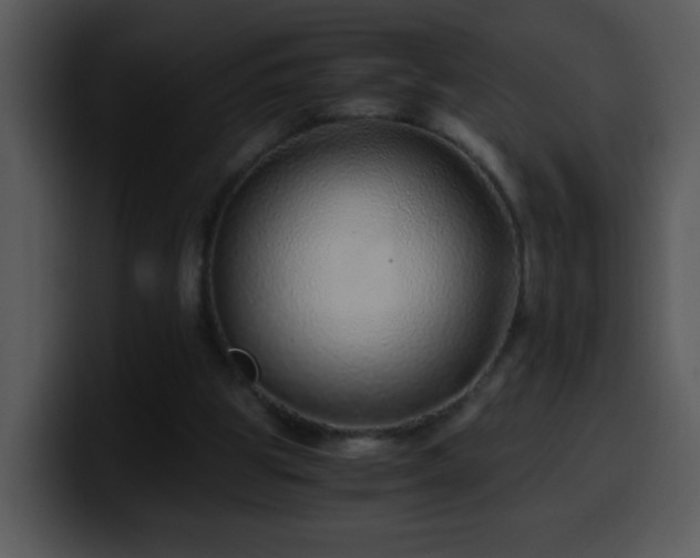 X0000100400153200806061324