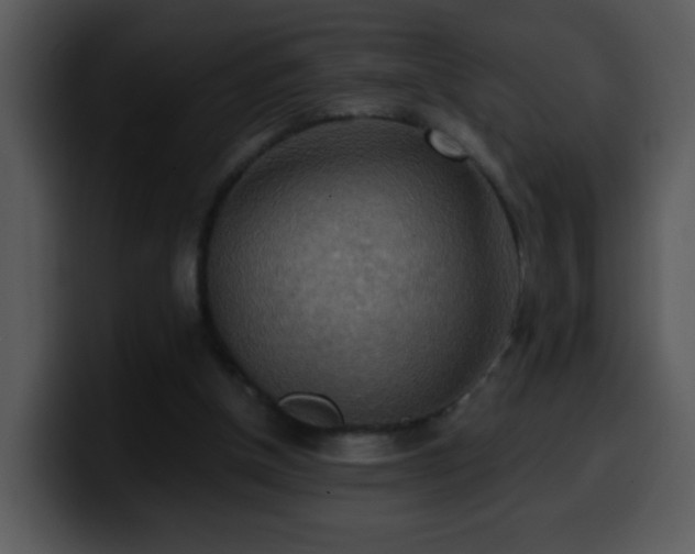 X0000100400154200806061324