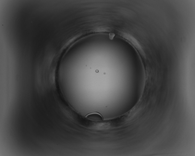 X0000100400155200806061324