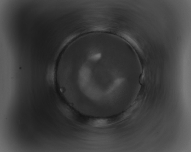 X0000100400156200806061324